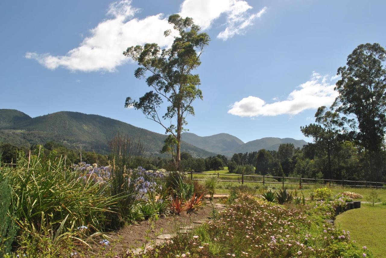 Lombard Villa Plettenbergbaai Buitenkant foto