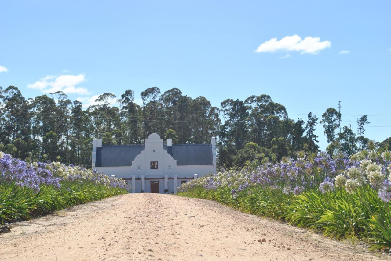 Lombard Villa Plettenbergbaai Buitenkant foto