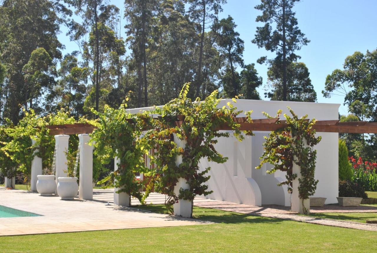 Lombard Villa Plettenbergbaai Buitenkant foto